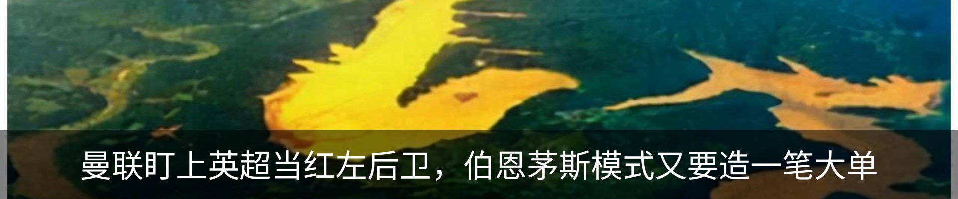 内页banner