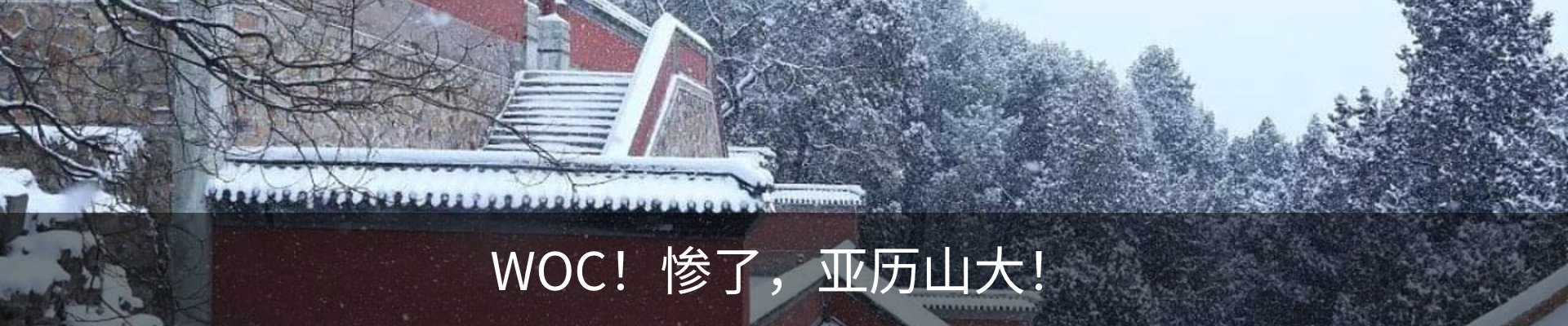 内页banner